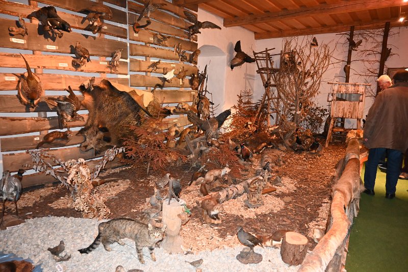 2024-02-07 HAK Burgtreswitz 18.JPG